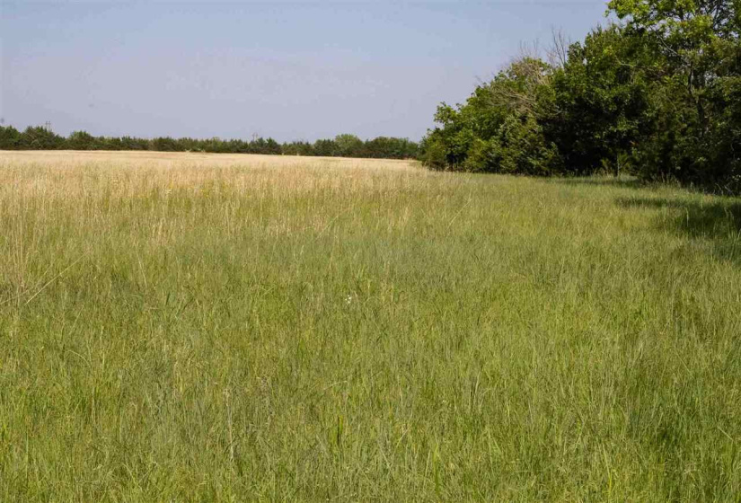 Lots/land,Unplatted,Brush Creek,128912