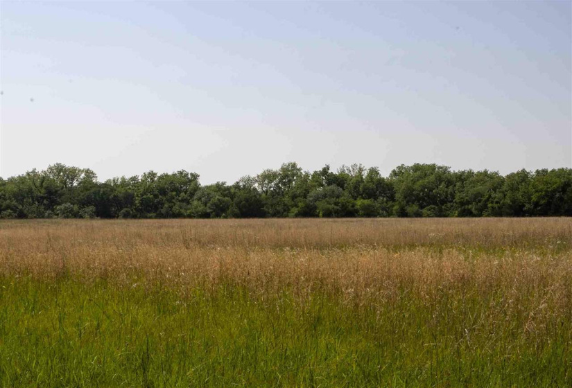 Lots/land,Unplatted,Brush Creek,128912