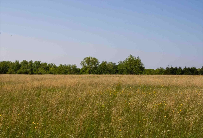 Lots/land,Unplatted,Brush Creek,128912