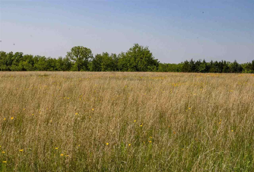 Lots/land,Unplatted,Brush Creek,128912