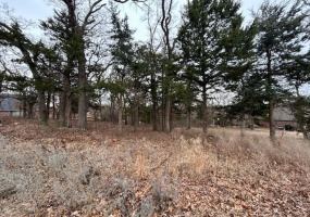 Lots/land,Platted,Woodland Trails,129107