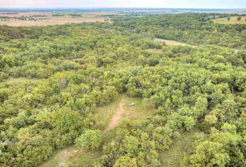 Lots/land,Ranch/farm,0360 RD,129837