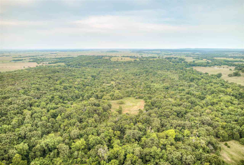 Lots/land,Ranch/farm,0360 RD,129837