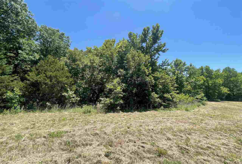 Lots/land,Platted,104th,130045