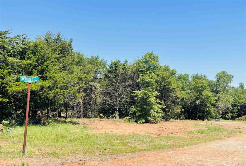 Lots/land,Platted,Silver Maple,130054