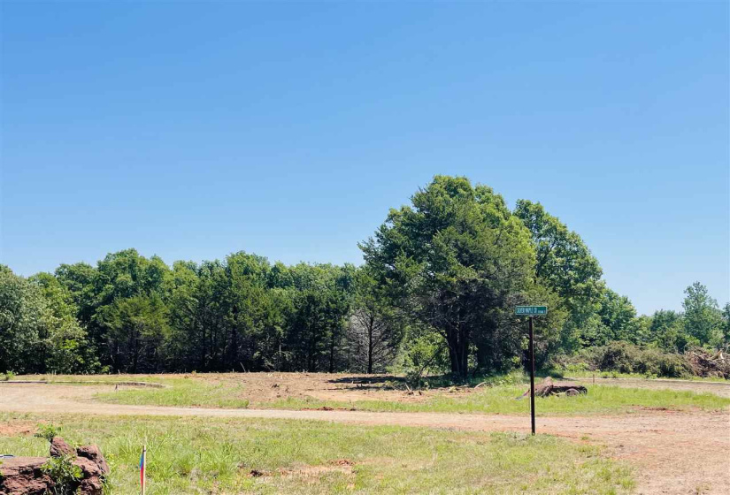 Lots/land,Platted,Silver Maple,130055