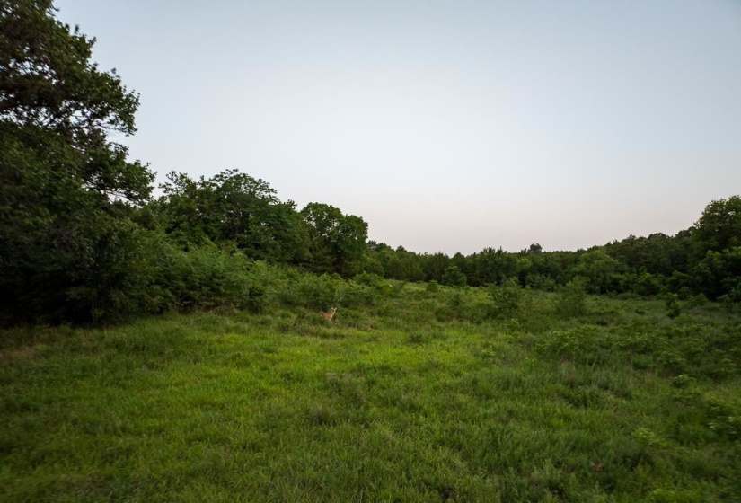 Lots/land,Unplatted,Mount Vernon,130357