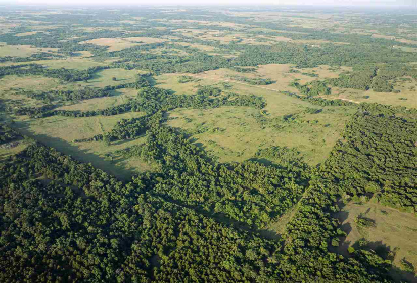 Lots/land,Unplatted,Mount Vernon,130357