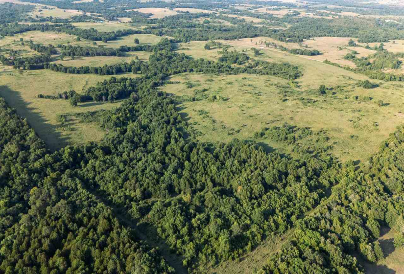 Lots/land,Unplatted,Mount Vernon,130357