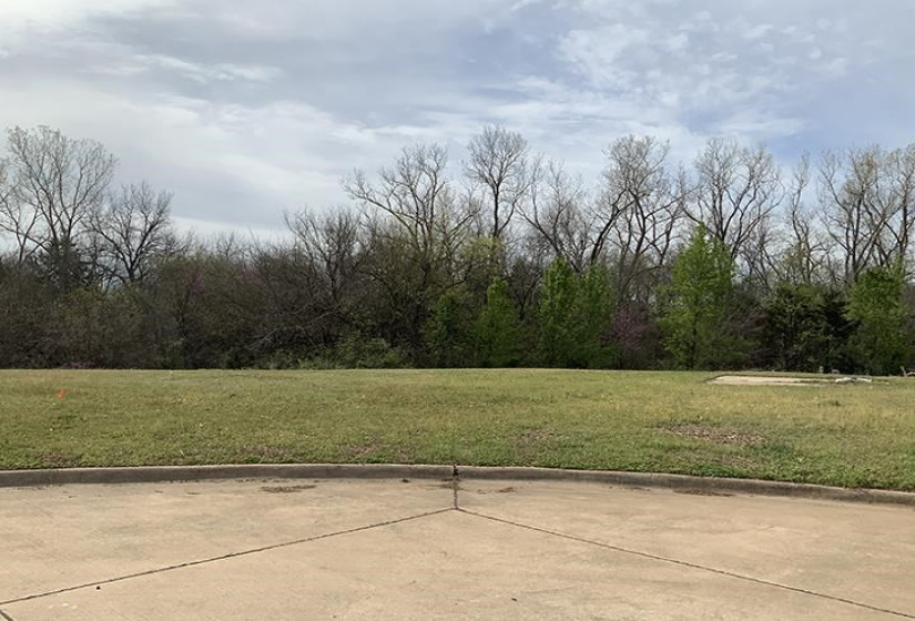 Lots/land,Platted,Greenvale,130689