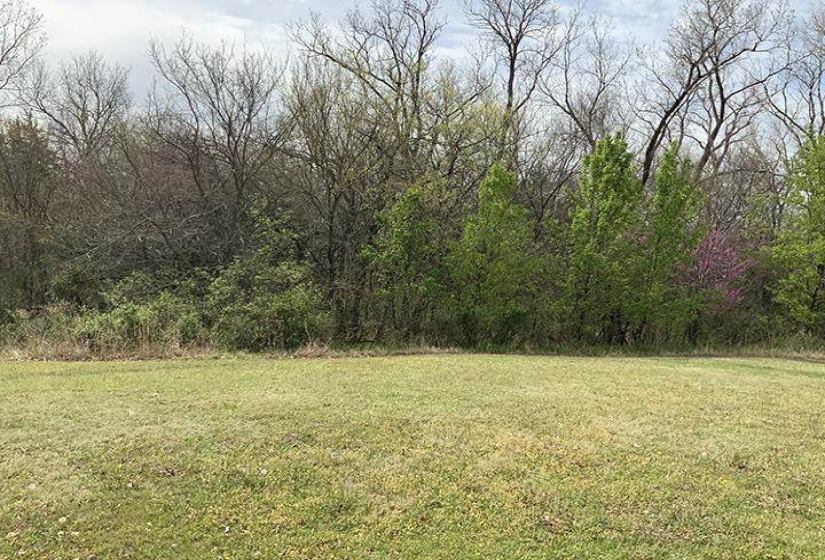 Lots/land,Platted,Greenvale,130689