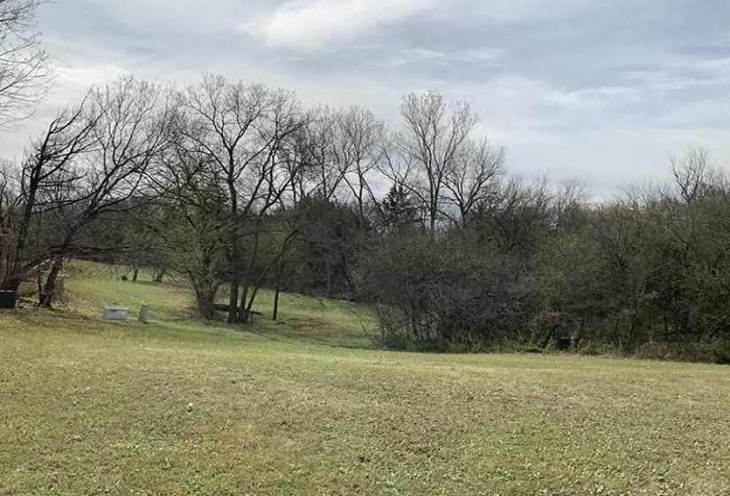 Lots/land,Platted,Greenvale,130690