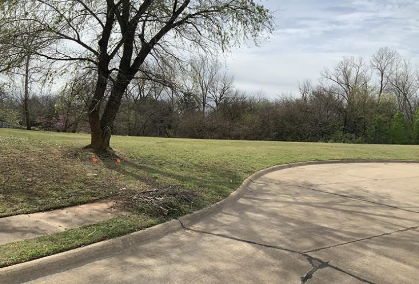 Lots/land,Platted,Greenvale,130690