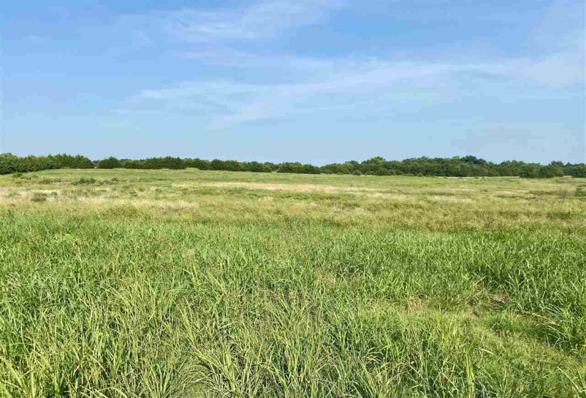 0 , 0 ,0,Lots/land,Ranch/farm,56TH,0,130691