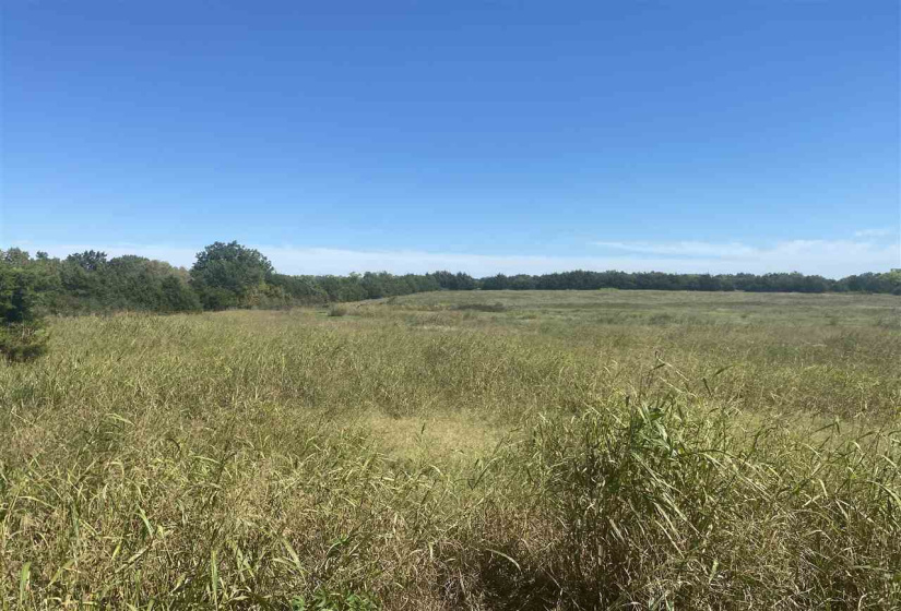 Lots/land,Ranch/farm,56TH,130691