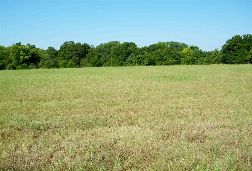 Lots/land,Ranch/farm,580,124320