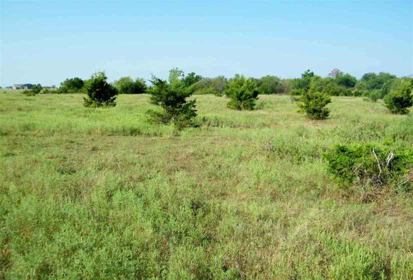 Lots/land,Ranch/farm,580,124320