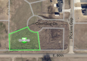 Lots/land,Platted,Coondog,131029