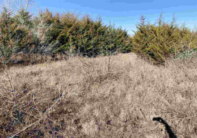 Lots/land,Unplatted,740,131227