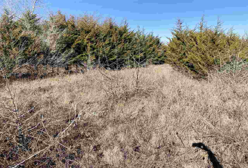 Lots/land,Unplatted,740,131227