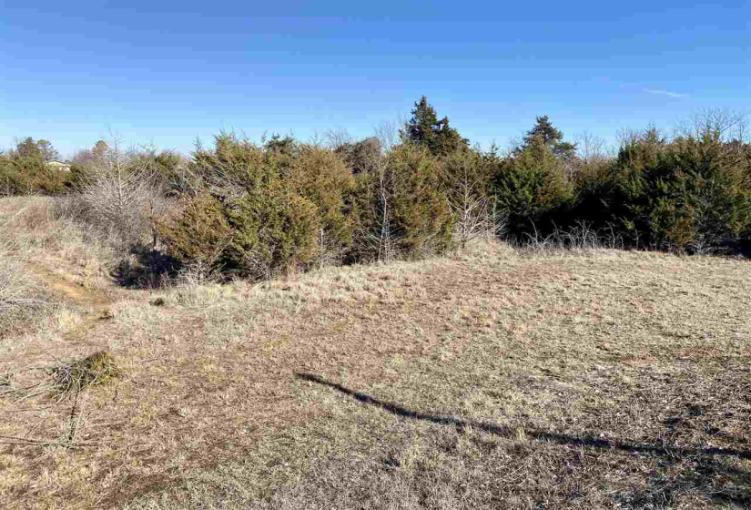 Lots/land,Unplatted,740,131227