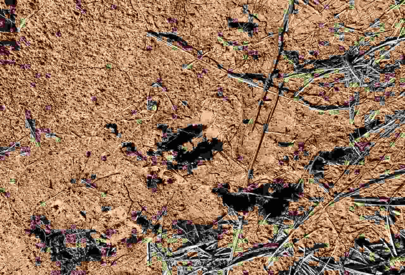 Lots/land,Unplatted,740,131228