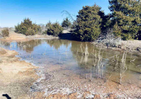 Lots/land,Unplatted,740,131231