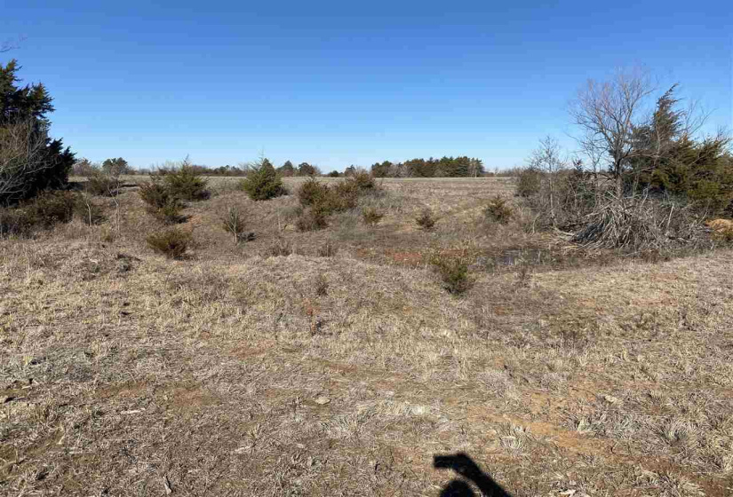 Lots/land,Unplatted,740,131231
