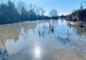 Lots/land,Unplatted,740 RD,131232