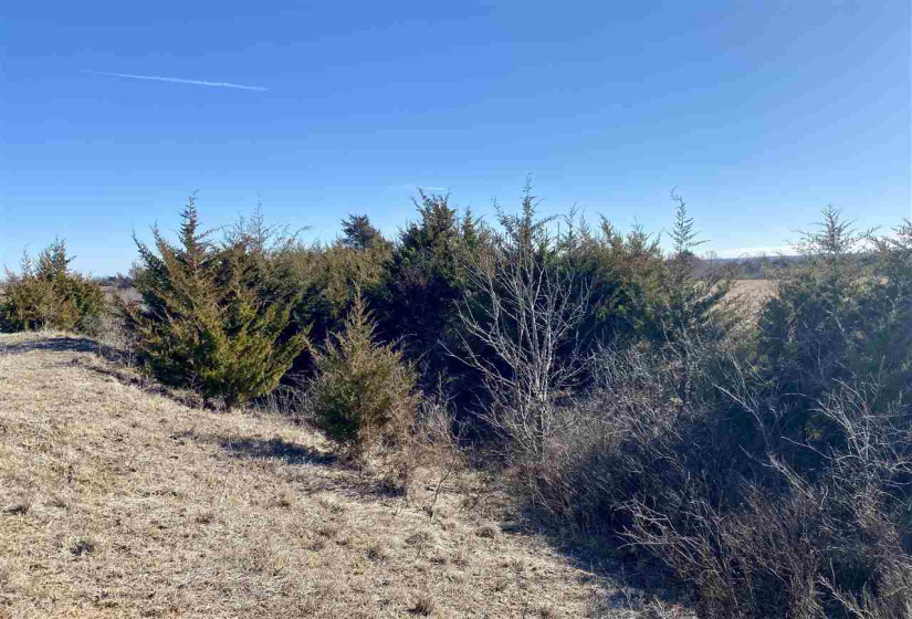 Lots/land,Unplatted,740 RD,131232