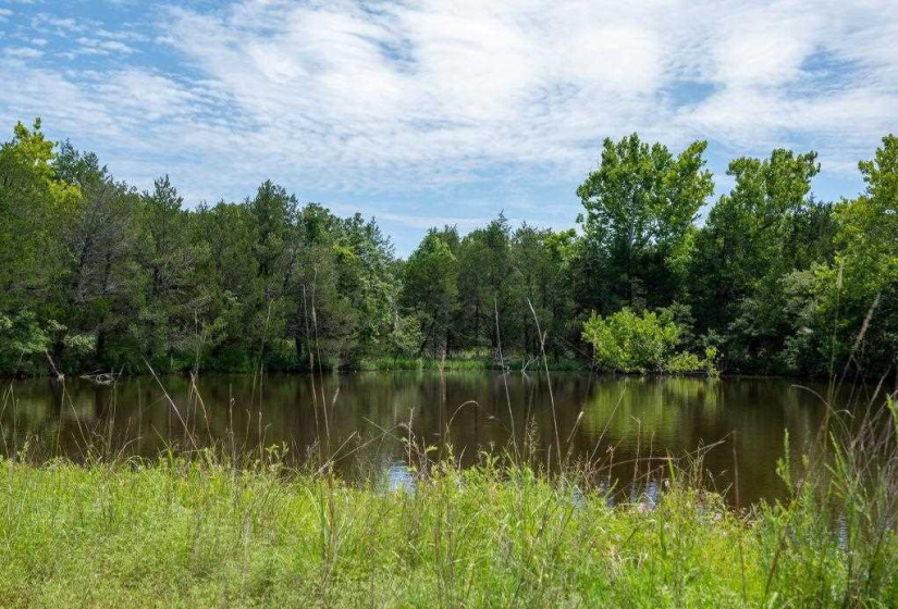 Lots/land,Unplatted,Highway 150,131235