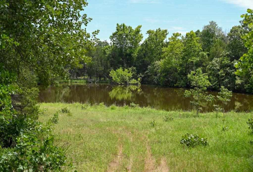 Lots/land,Unplatted,Highway 150,131235