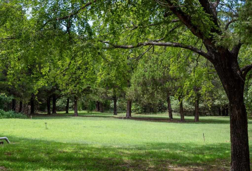 Lots/land,Unplatted,Highway 150,131235