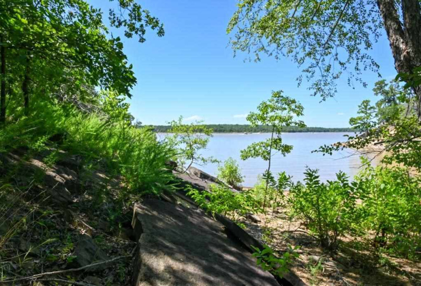 Lots/land,Unplatted,Highway 150,131235