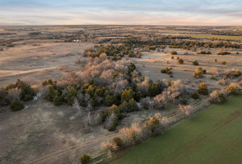 Lots/land,Ranch/farm,Frontier/CR 170,131287