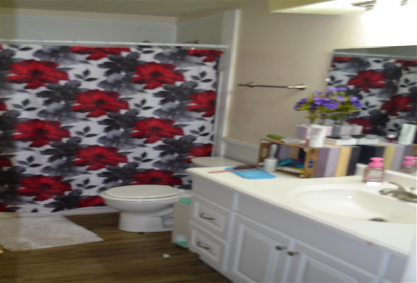 1 BathroomBathrooms,Multi-family,Duplex,Hartford,1,131303