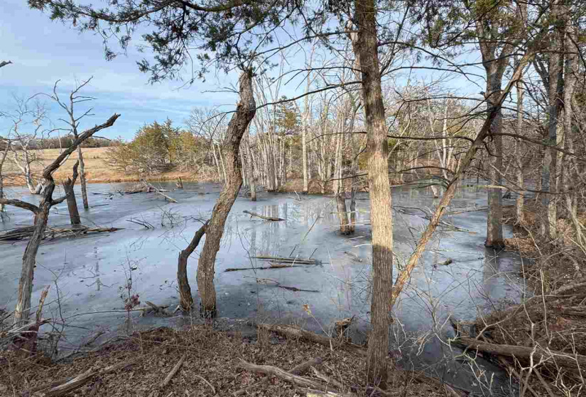 Lots/land,Unplatted,9th,131357