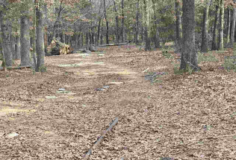 Lots/land,Unplatted,9th,131357