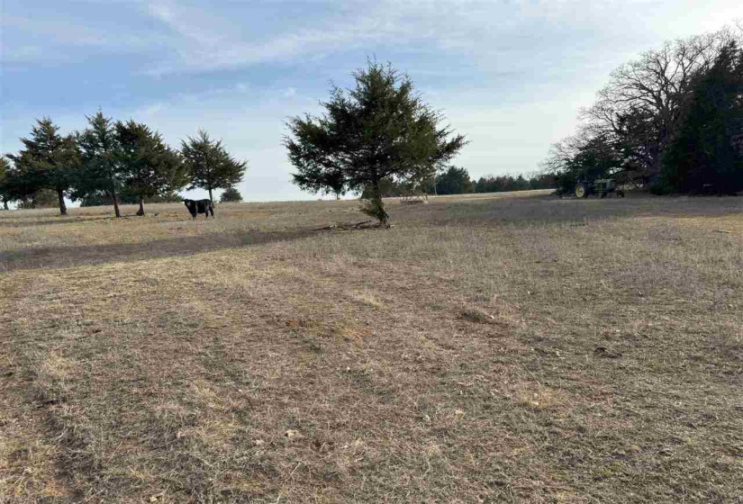 Lots/land,Unplatted,9th,131357