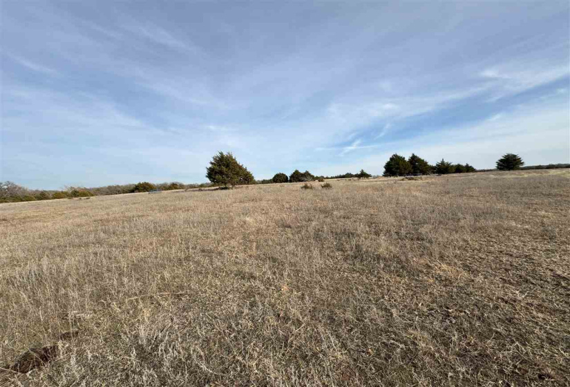Lots/land,Unplatted,9th,131357