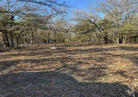 Lots/land,Unplatted,9th,131357
