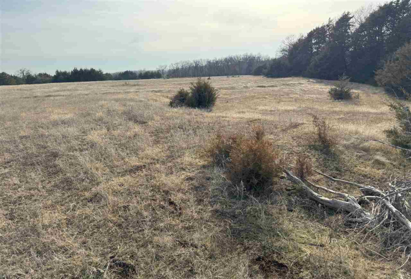 Lots/land,Unplatted,9th,131357