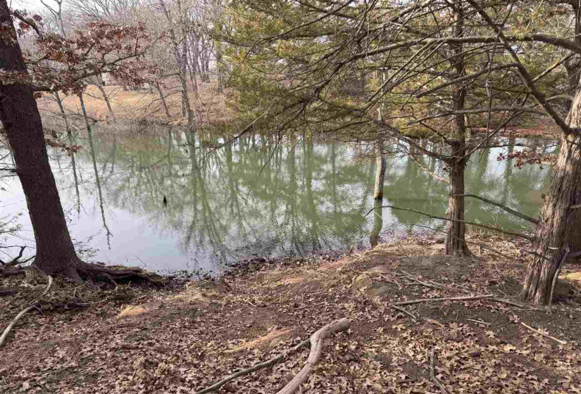 Lots/land,Unplatted,9th,131357