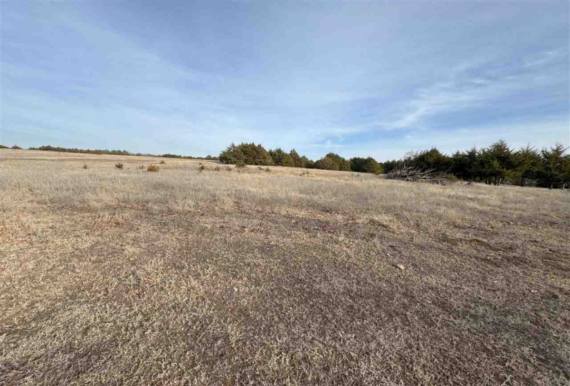 Lots/land,Unplatted,9th,131357