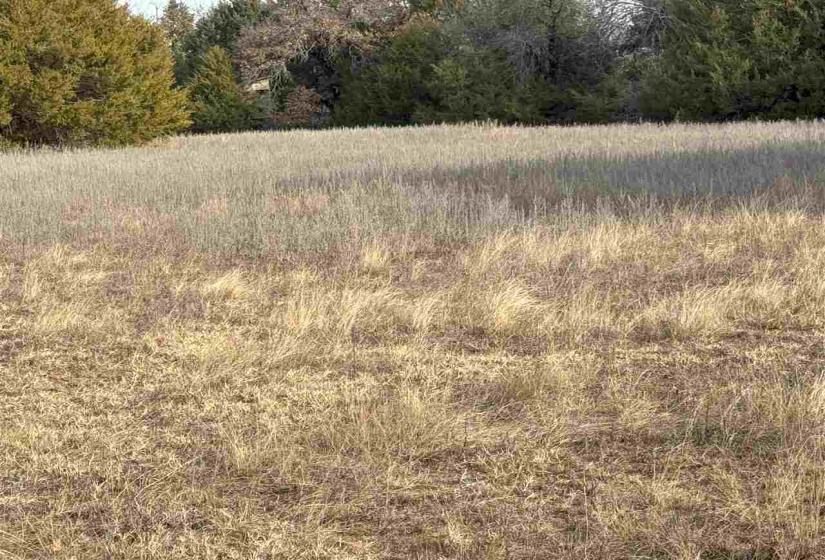 Lots/land,Unplatted,9th,131357