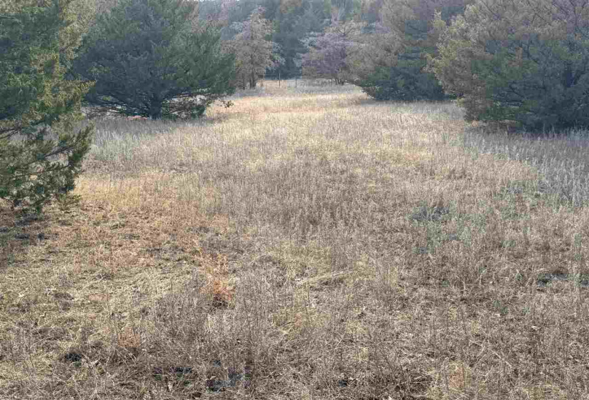 Lots/land,Unplatted,9th,131357