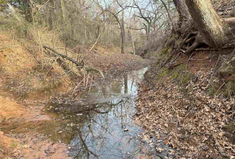Lots/land,Unplatted,9th,131357