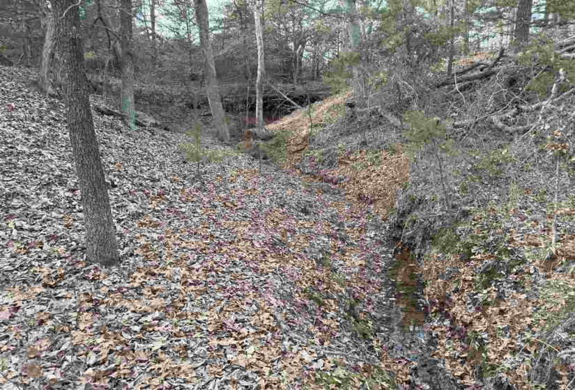 Lots/land,Unplatted,9th,131357