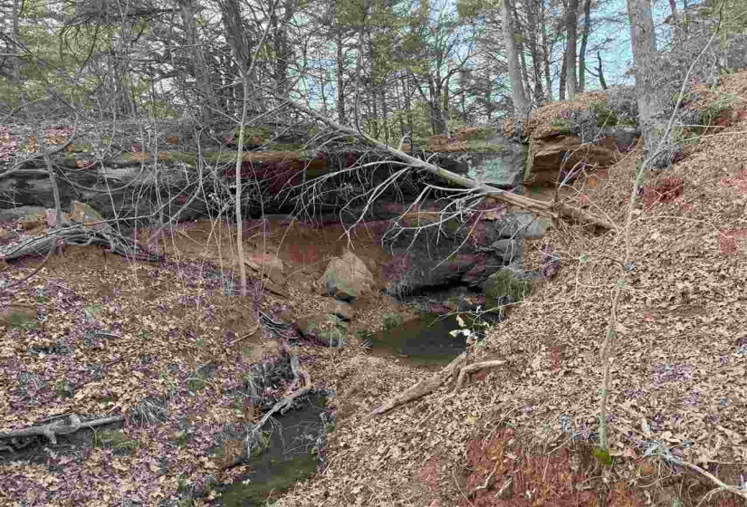 Lots/land,Unplatted,9th,131357