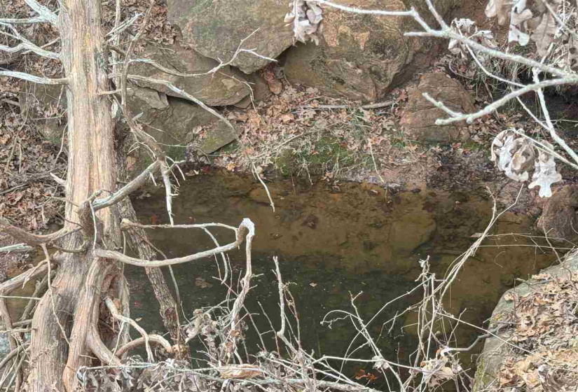 Lots/land,Unplatted,9th,131357